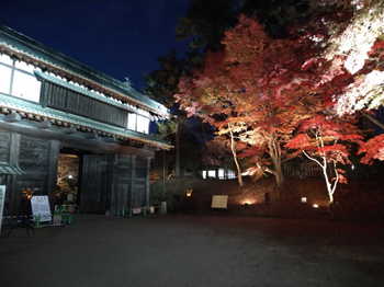 弘前公園　弘前城菊と紅葉まつり　紅葉ライトアップ　南内門