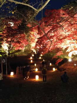 弘前公園　弘前城菊と紅葉まつり　紅葉ライトアップ　もみじ谷